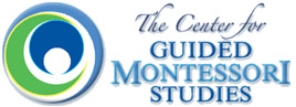 CGMS Logo